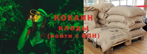 бошки Ладушкин