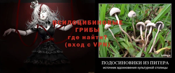 экстази Лабытнанги