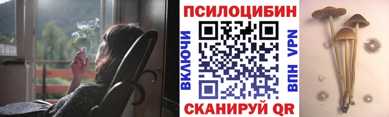 blacksprut tor  продажа наркотиков  Поворино  Галлюциногенные грибы Cubensis 